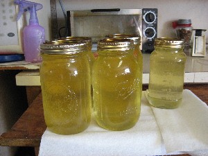 Liquid Lard in Jars
