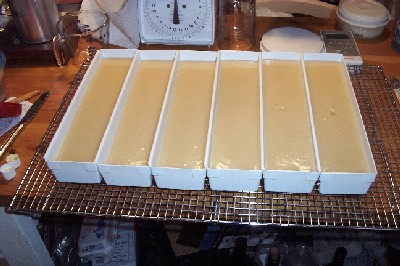 Soap in trays