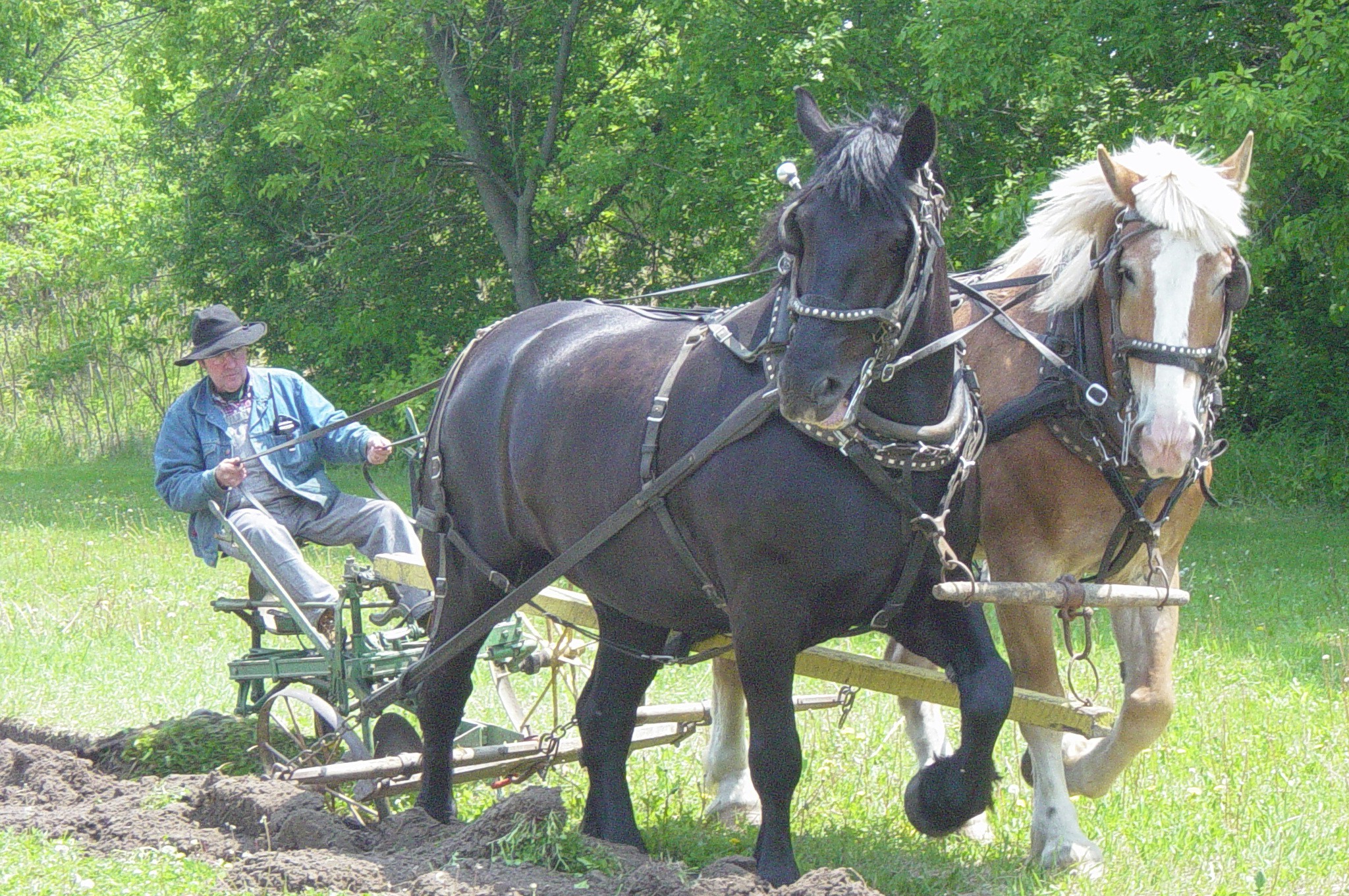 Plowing 19th century style