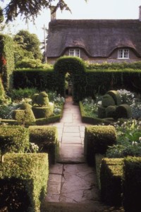 000802_c509_0095_clhs