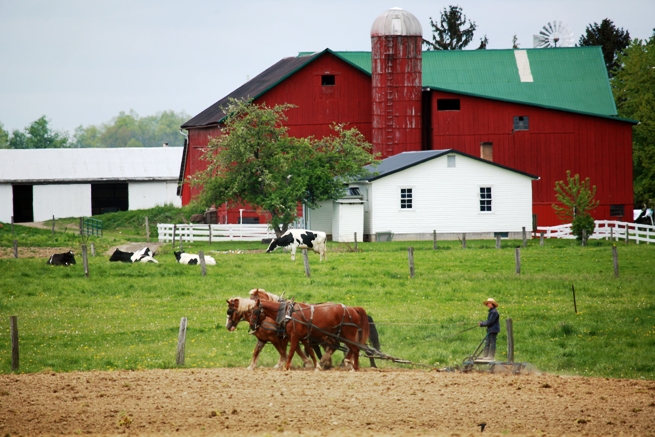 Ascension Day In Amish Country Lehmans 