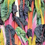 5 Color Silverbeet Swiss Chard Seeds