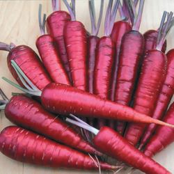 Dragon Carrots, an heirloom variety. Seeds in stock now at Lehmans.com or Lehman's in Kidron, OH.