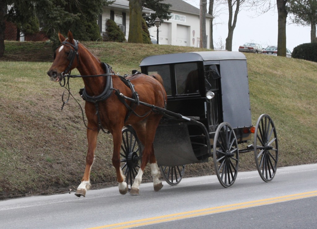 Watch Out for Buggies! - Lehman's Simpler Living Blog