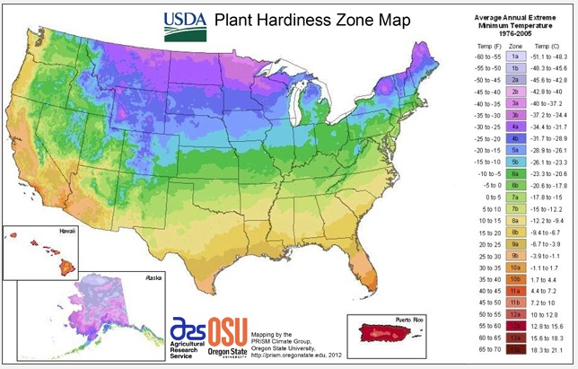 Check the USDA hardiness zone map as you plan your garden!