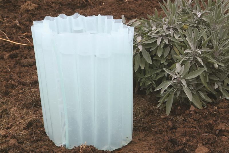 Protect seedlings from chilly spring nights! Available in set of 6. Order now from Lehmans.com.