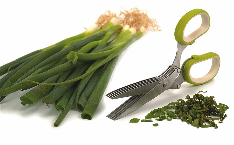 Clip rosemary and other herbs cleanly and easily! Stainless steel herb scissors available at Lehman's in Kidron, Ohio or at Lehmans.com.