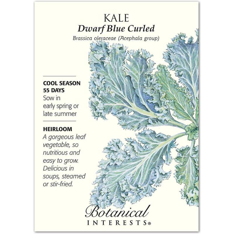 Kale Dwarf Blue Curled Heirloom Seeds