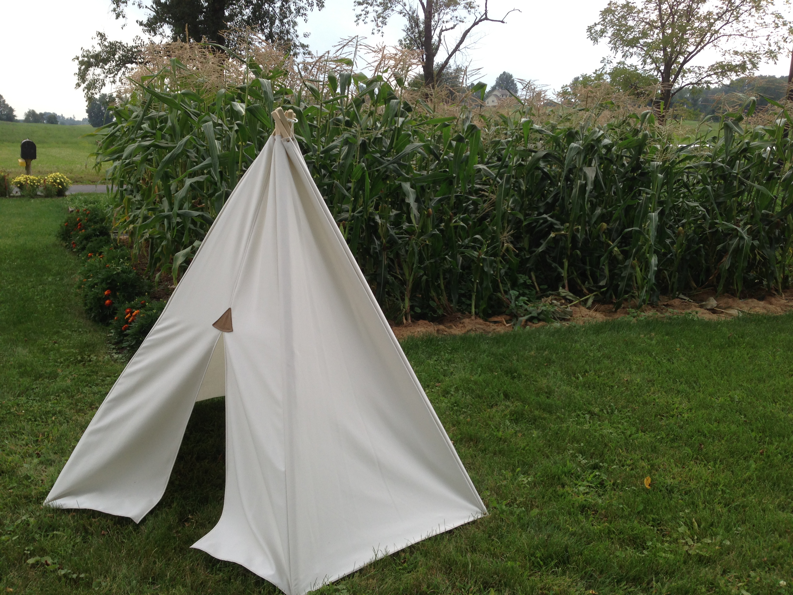 Fresh from the sewing machine, this Child's Teepee tent stands next to Sarah's sweet corn bed.