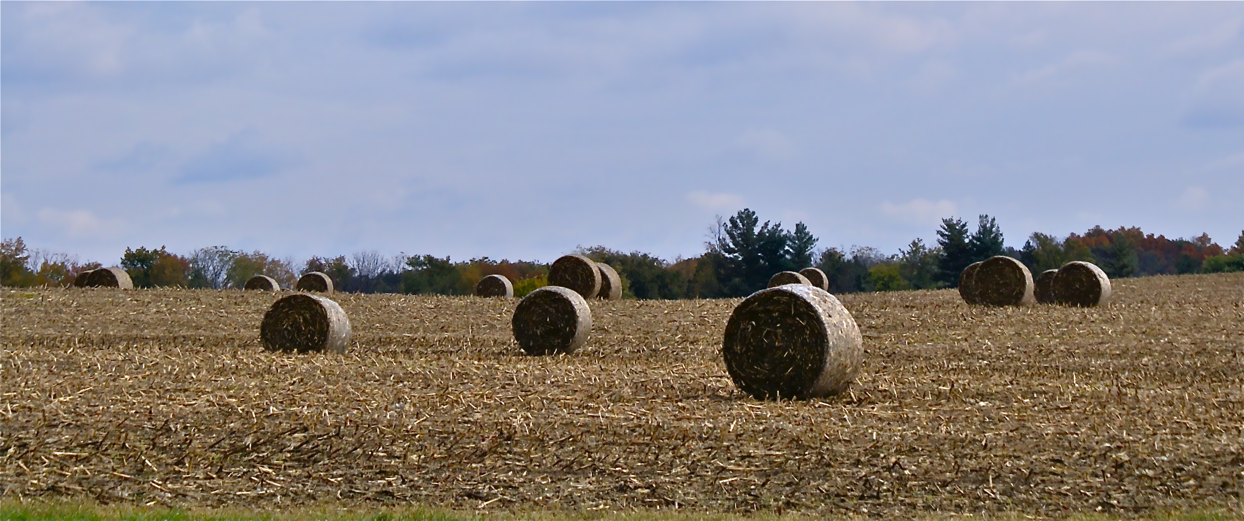 Roll hay in the fields of Central Indiana.