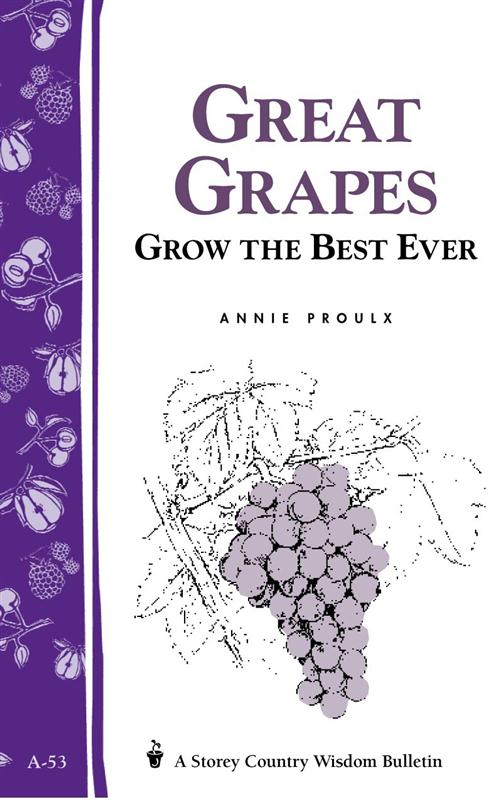 Great Grapes Storey Books pamphlet