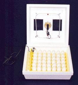 Low Cost Chicken Egg Incubator