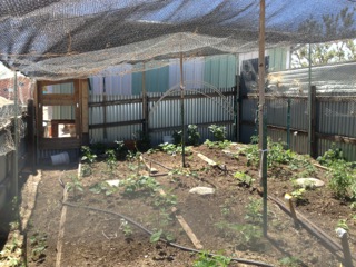 Garden is walled and netted on top.