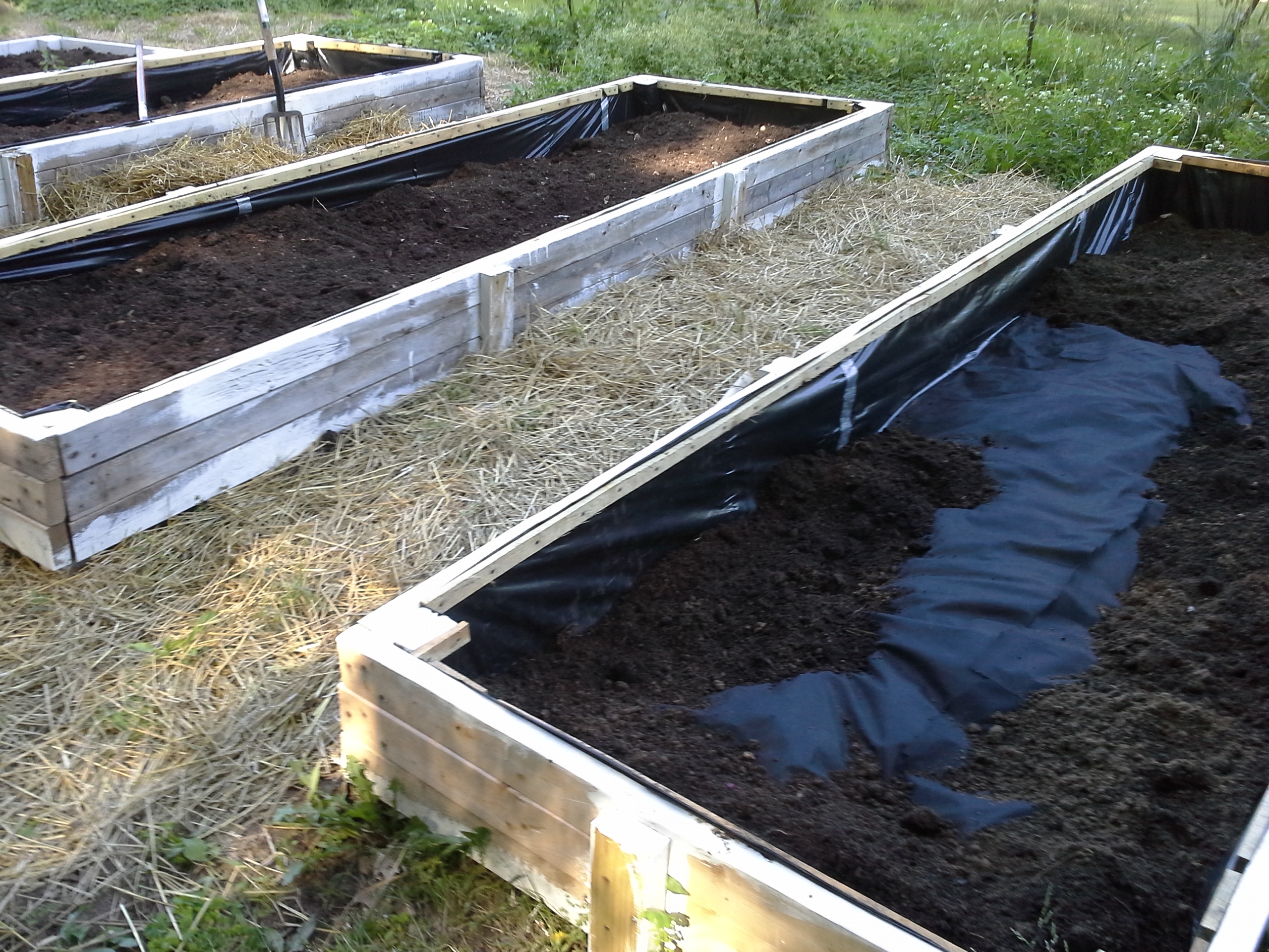 Tim's new raised beds! If DIY isn't for you, consider Lehman's Space Saver Garden Beds.