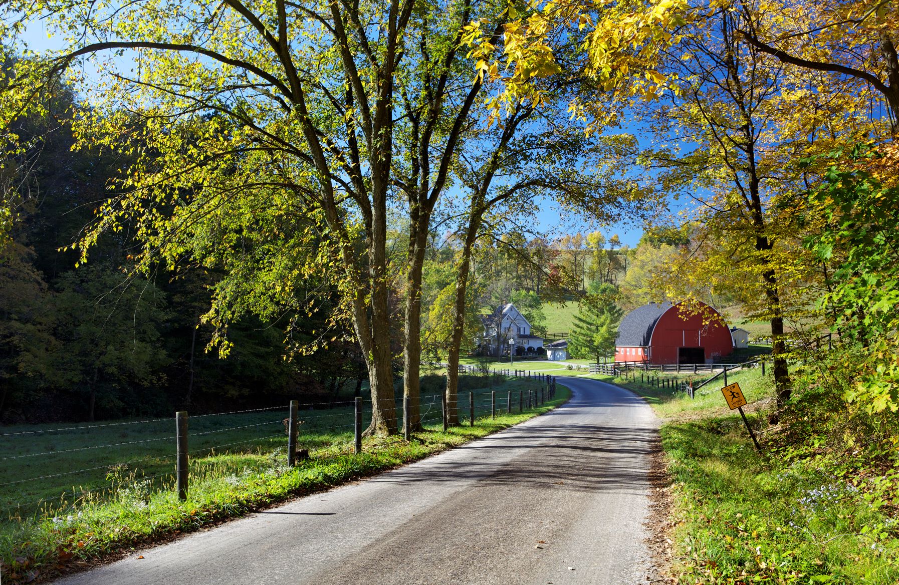 Amish Country Autumn Leaves Top In World Lehmans Simpler Living Blog 