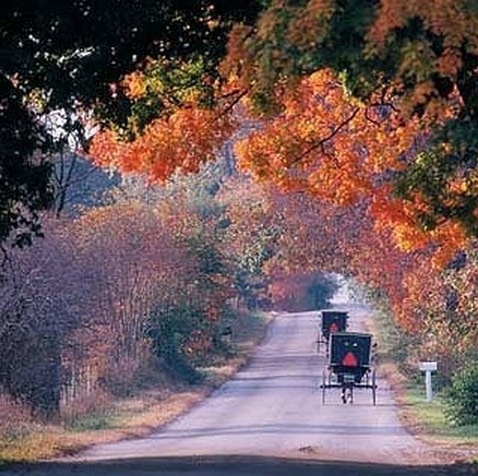 Fall in Amish Country