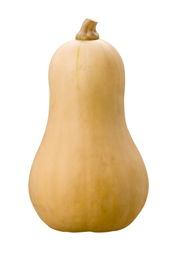 A perfect butternut squash--make sure yours are this clean when you put them in cold storage.