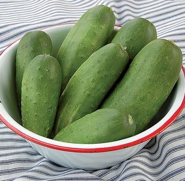 Double Yield Cucumber Seeds