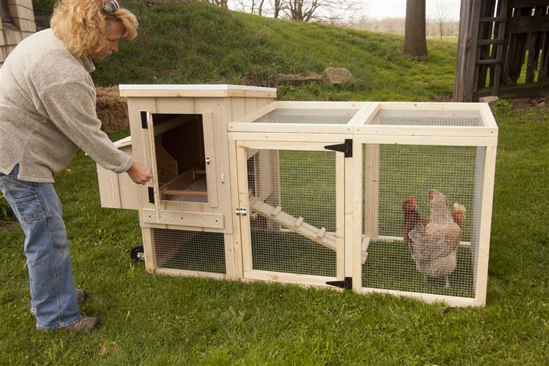 Our portable coop let you lift and roll the entire coop around your yard daily to every few days, as the chickens aerate and fertilize the soil. At lehmans.com and our store in Kidron, Ohio.