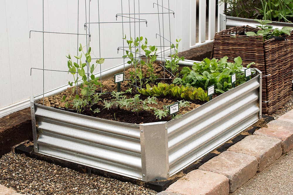 Several options for container gardening - including the Spacesaver bed - are on display in our garden.