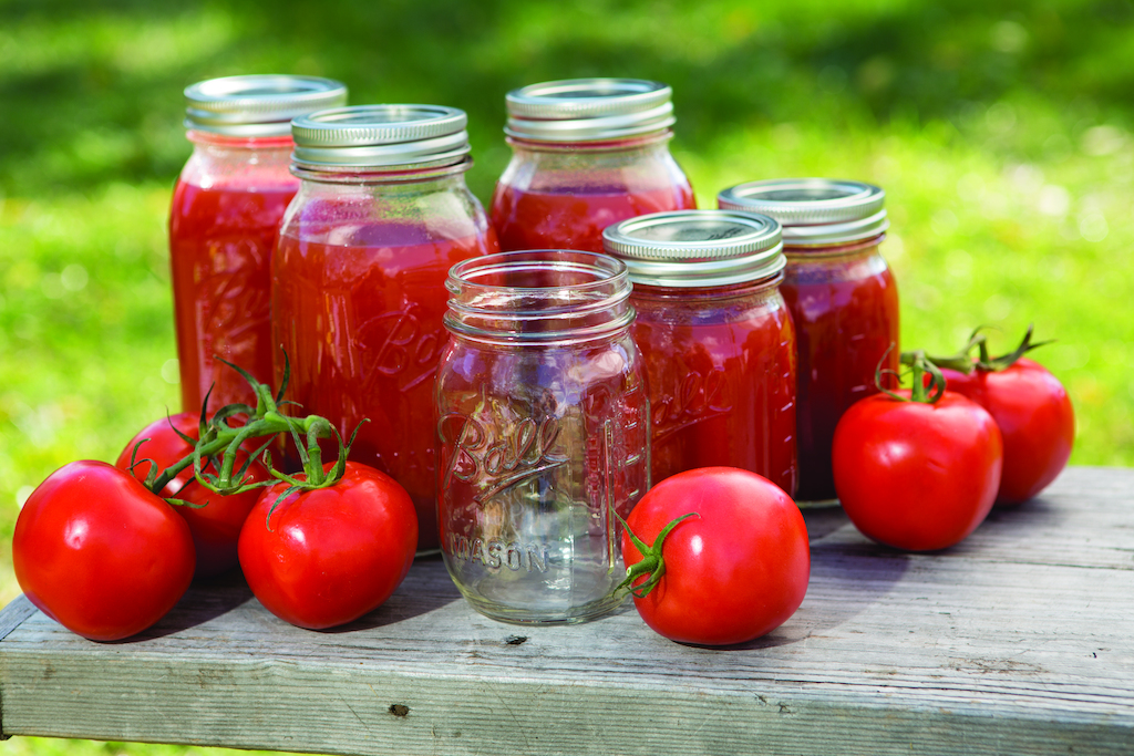 These classic clear glass jars have preserved literally tons of fruits and vegetables over the past 125 years. A true symbol of America's past, they still work great for today's home canning.