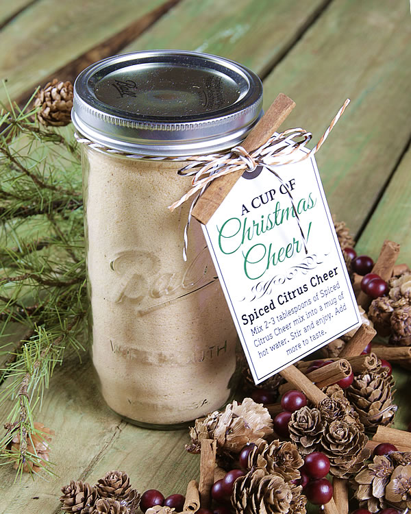 5-Minute Jar Gift - Spiced Citrus Cheer