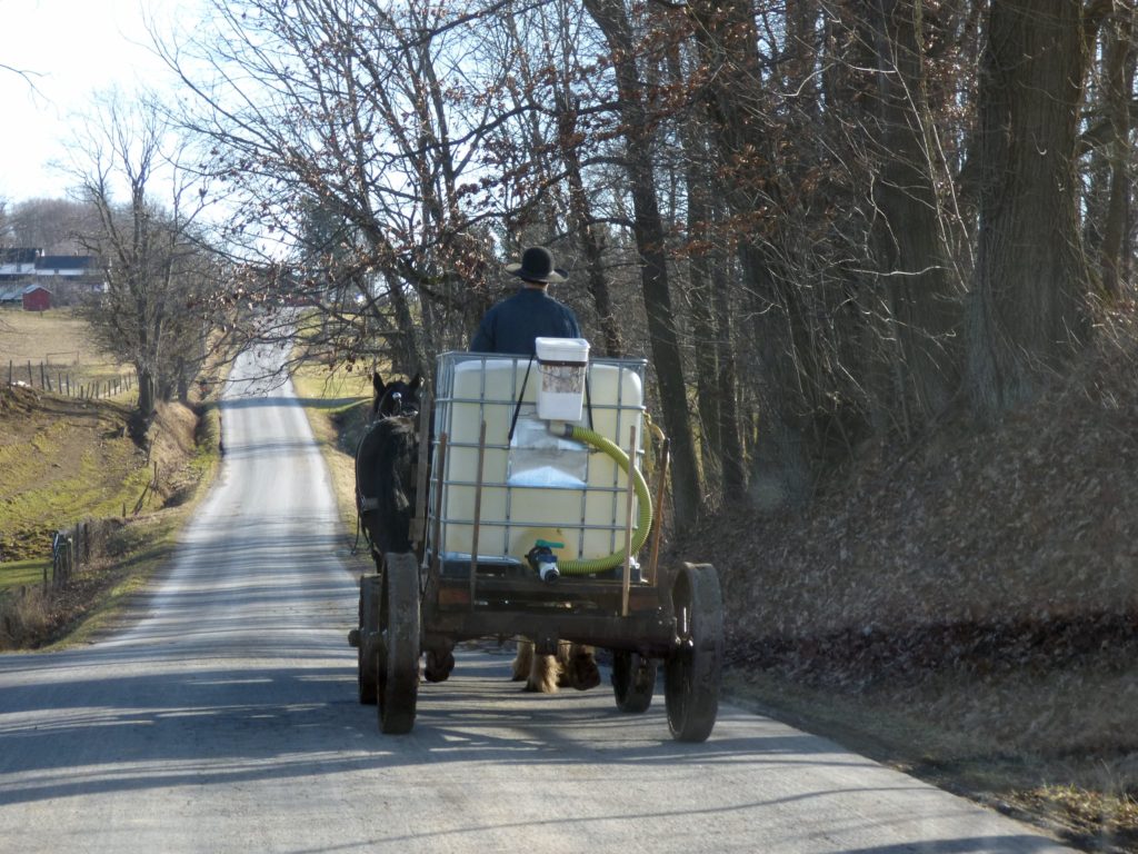 Saps Running In Amish Country Lehmans Simpler Living Blog 