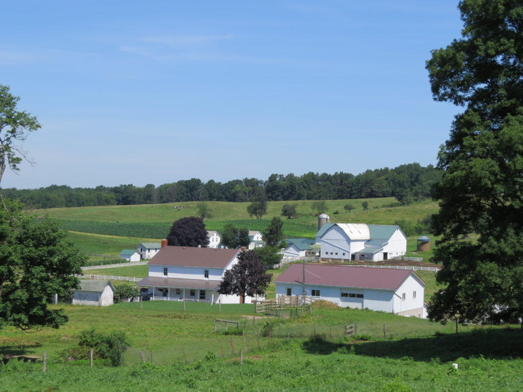 Life Lessons From Amish Country Lehmans Simpler Living Blog 