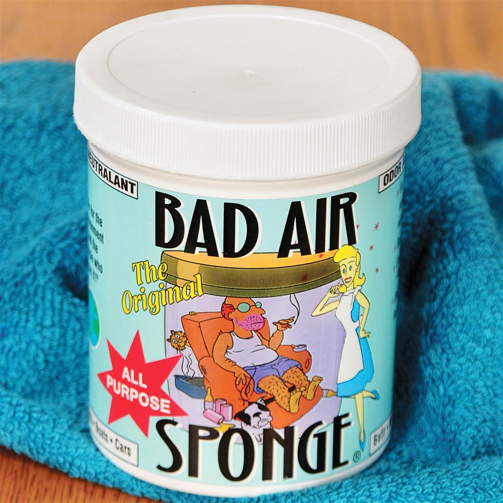 bad air sponge