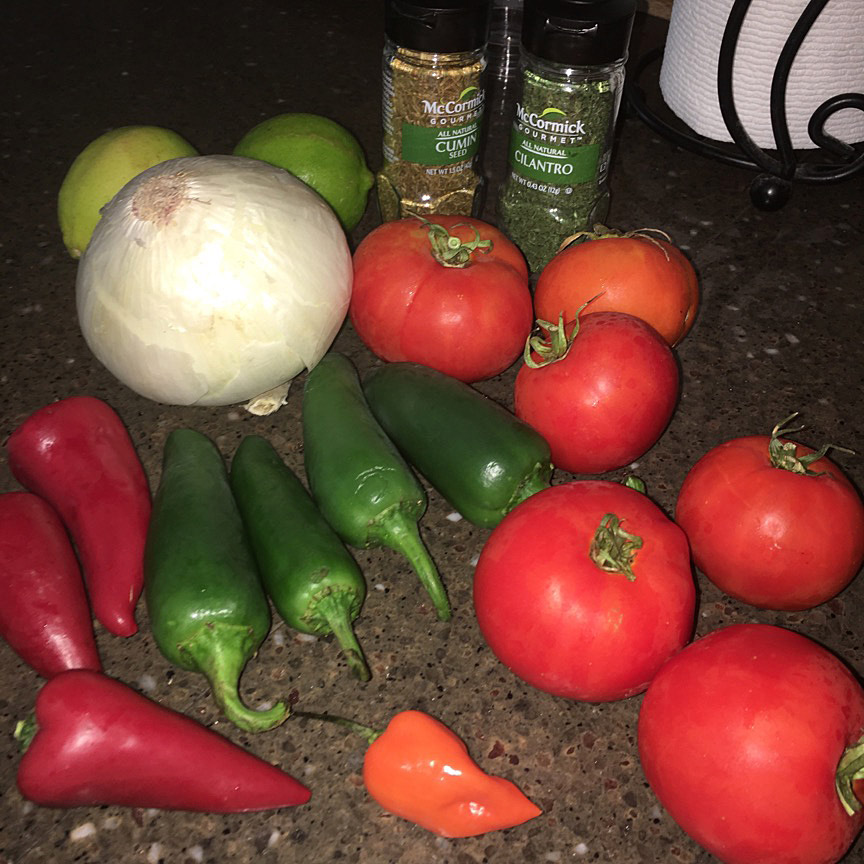 salsa ingredients 2