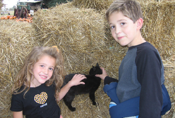alli-and-brandon-with-cat