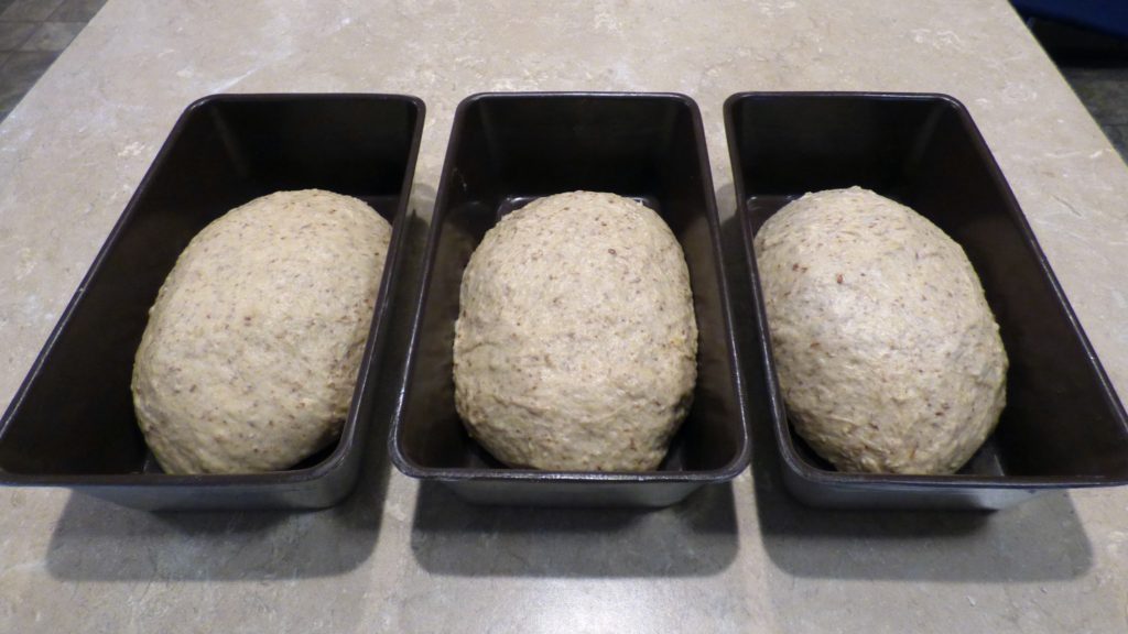 dave-ross-bread-dough-in-pans