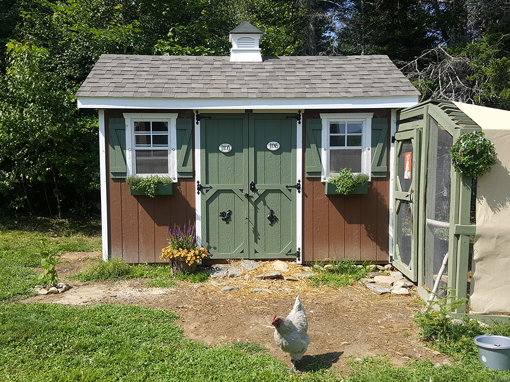 Fancy digs for the chickens