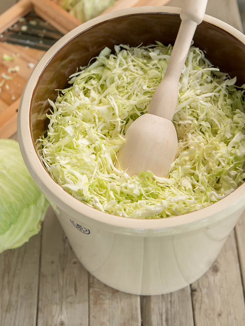 making sauerkraut in crock