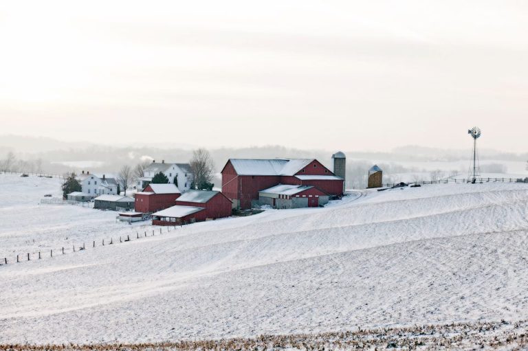 amish farm in winter
