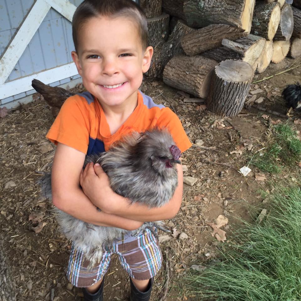 sarah's son and chicken