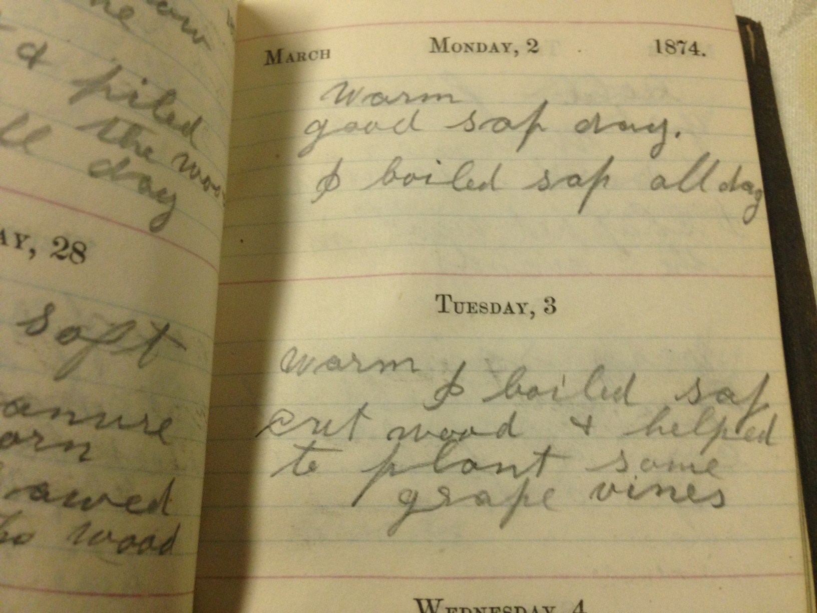 journal entry from 1874