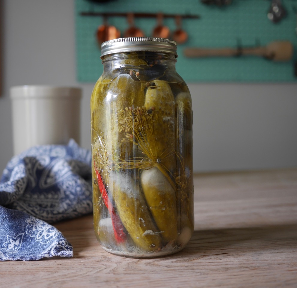 fermented dill pickles