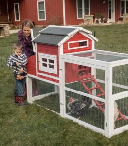 family with chickens and coop