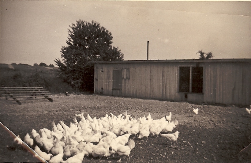 my great grandpa's chicken coop
