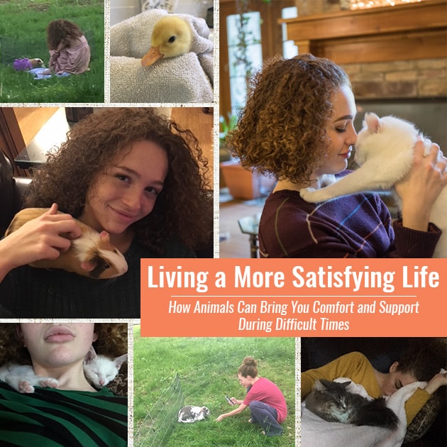Living a More Satisfying Life