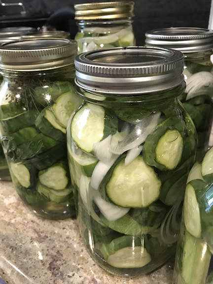 canned pickles