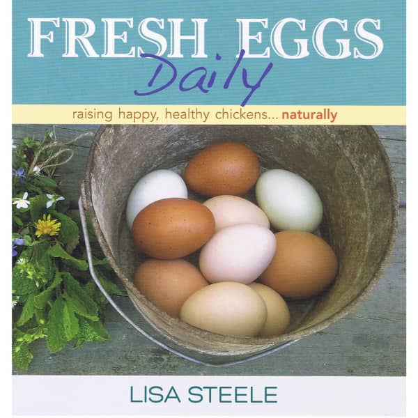 fresh eggs daily book