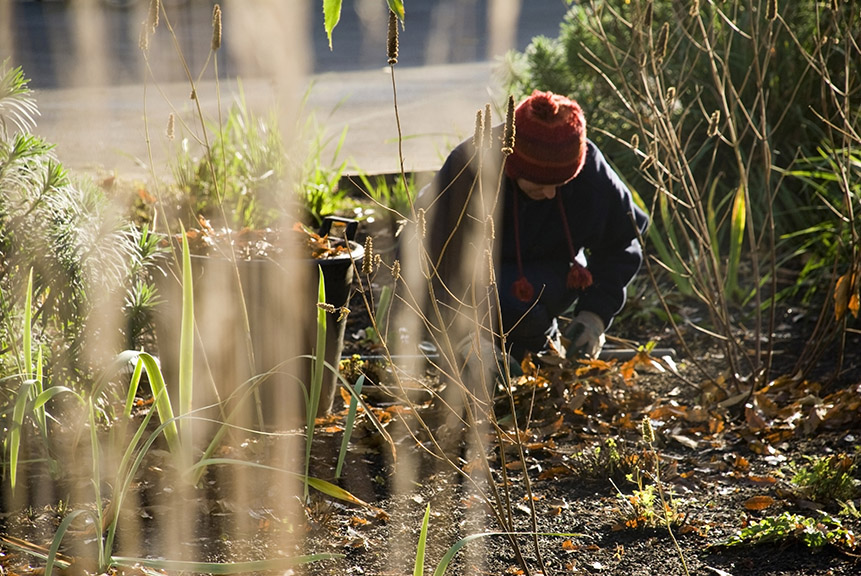 winter gardening