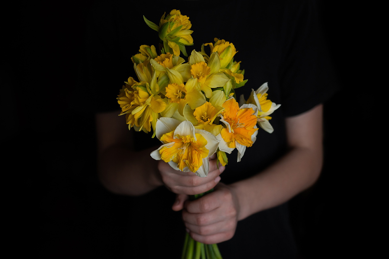 freshly picked daffodils