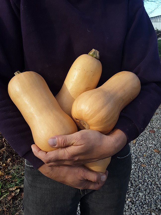 holding gourds