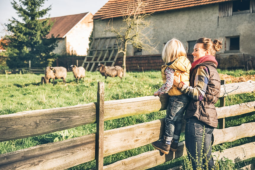 Stirring Up Change, Right Here In Amish Country - Lehman's Simpler Living  Blog