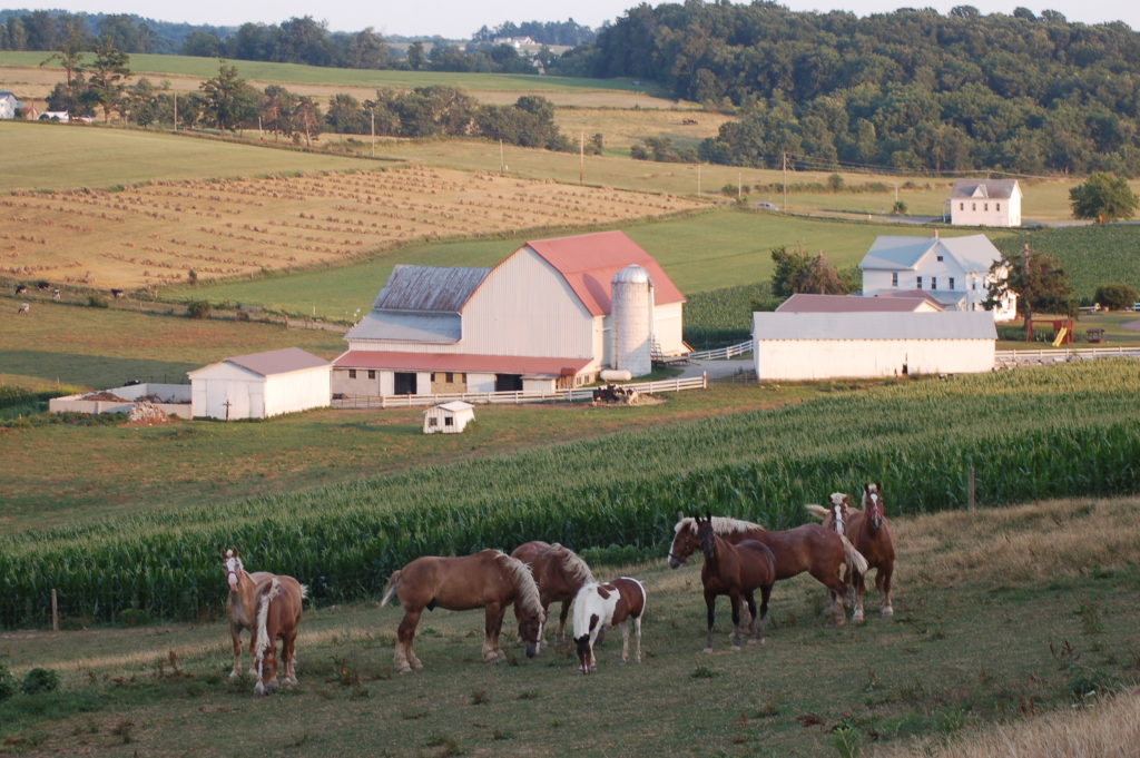 The Joys of Ohio’s Amish Country Lehman's Simpler Living Blog