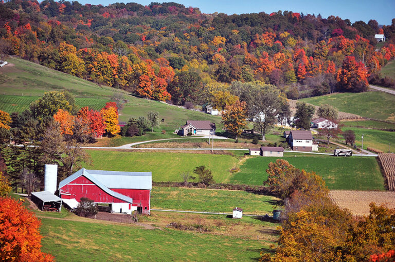 Fall foliage in Amish Country