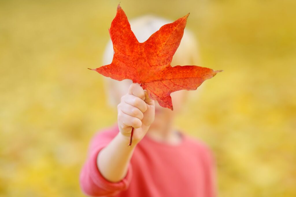 kid holding leaf